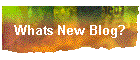 Whats New Blog?