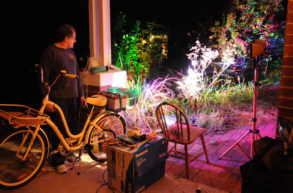 LEDBIKE Rear First Light White