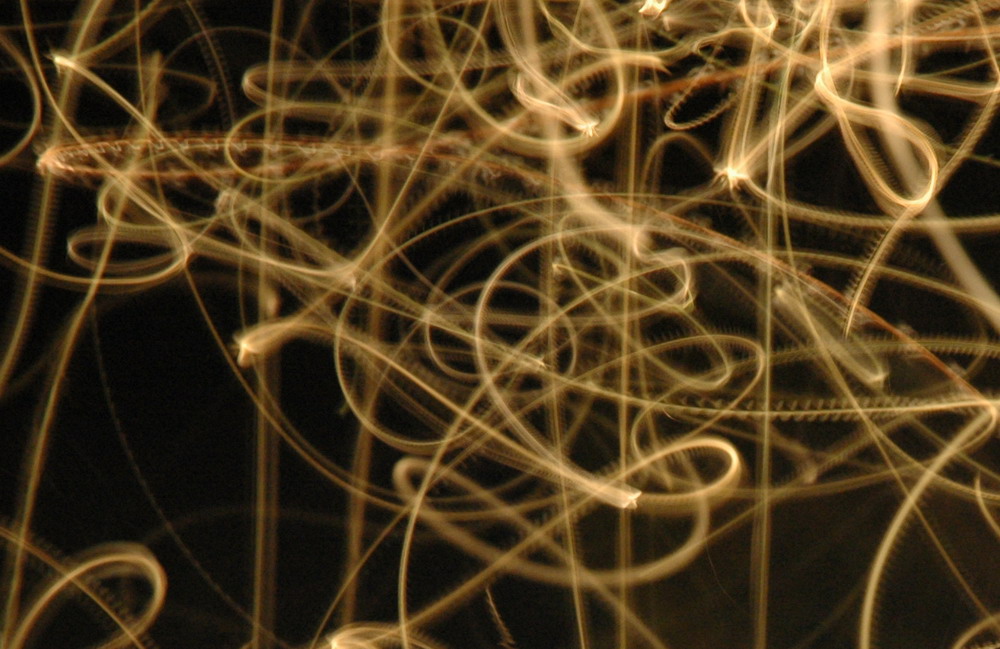 Mystery photos 81