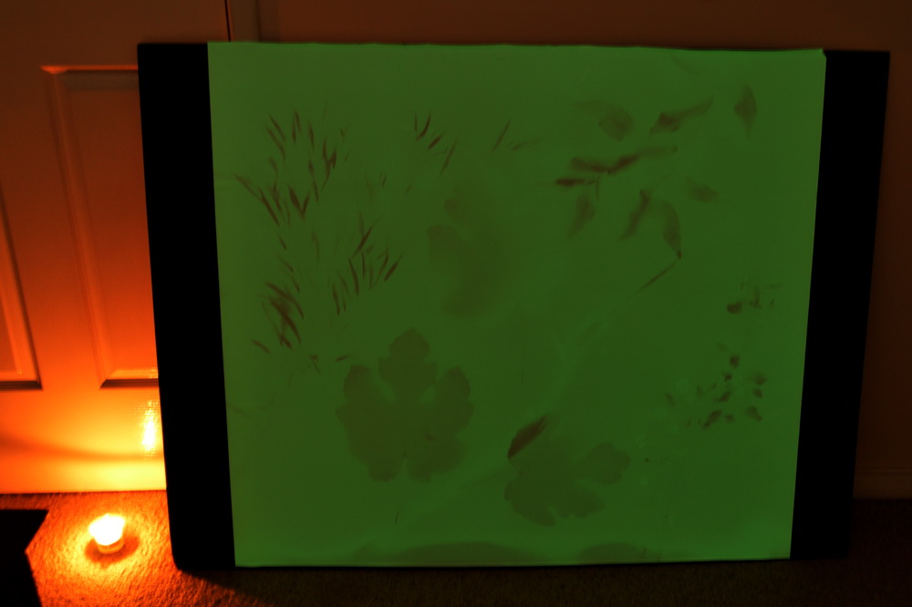 Phosphorescent sheet with leaves after exposure to the sun 